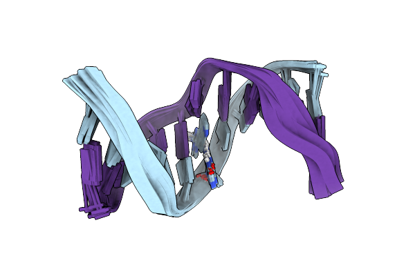 2MAV image