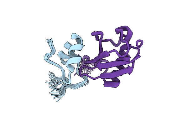 2MBB image
