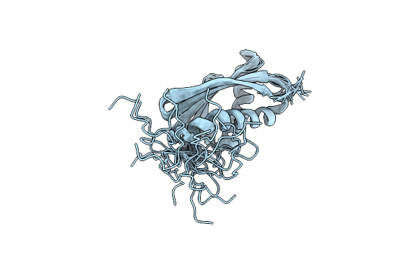 2MBM image