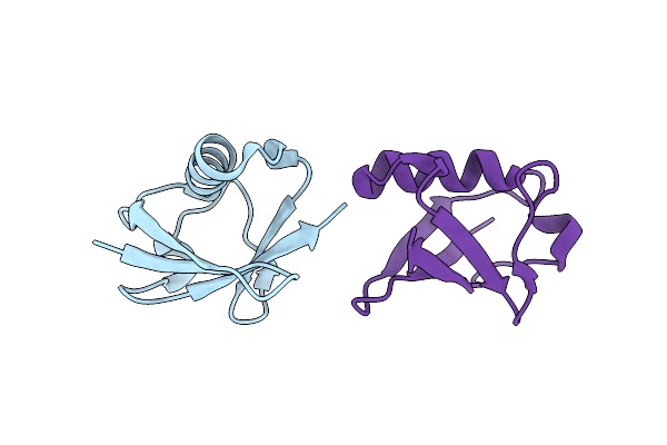 2MBO image