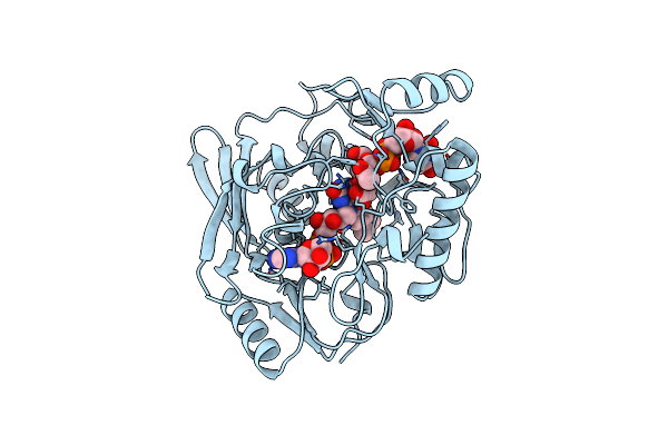 2MBR image