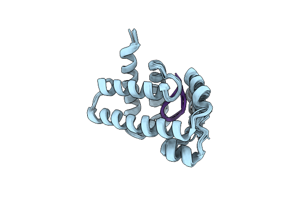 2MBZ image