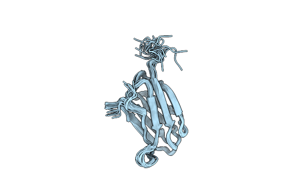 2MCA image