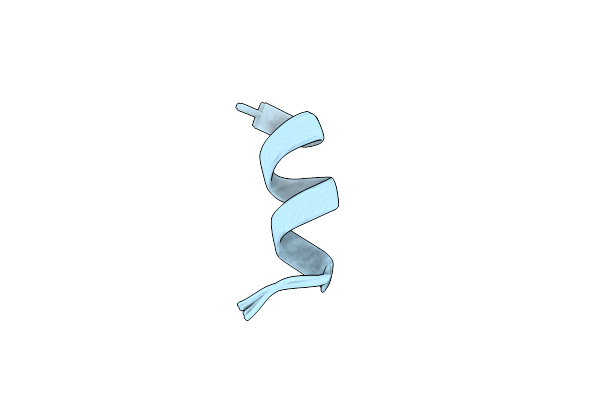 2MD4 image