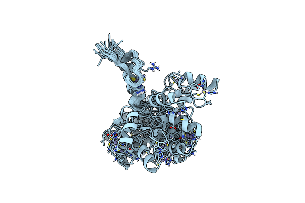 2MDG image