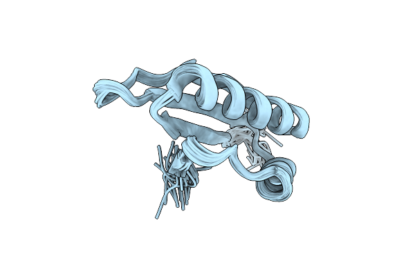 2MEW image