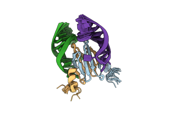 2MFF image