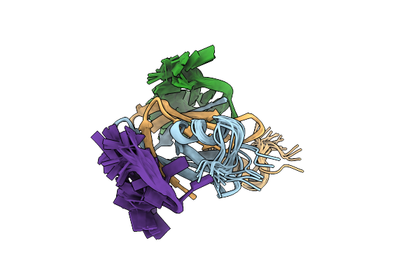2MFH image