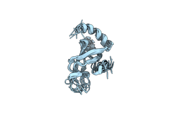 2MFL image