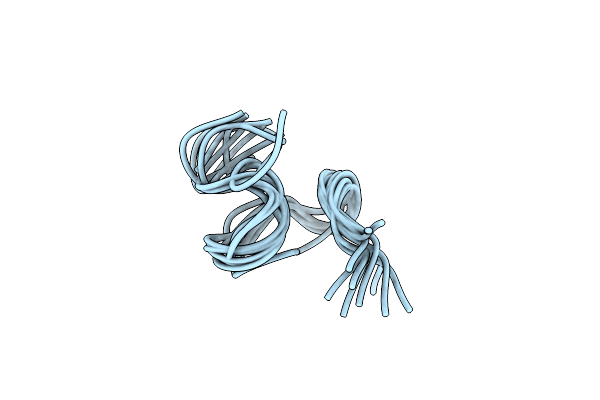 2MFM image