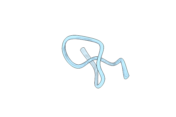 2MFV image