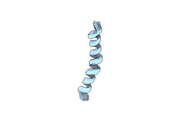 2MG1 image