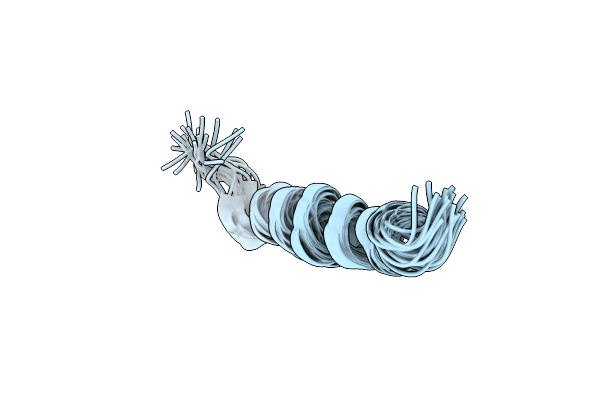 2MG2 image