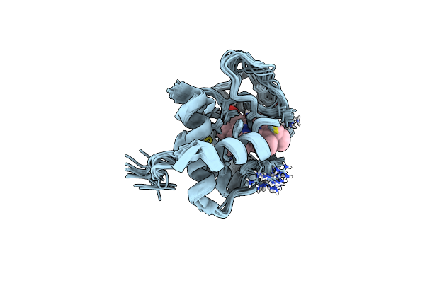 2MHM image