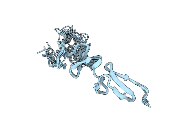 2MHP image