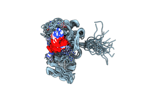 2MKI image