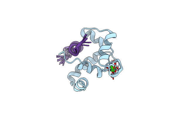 2MKP image