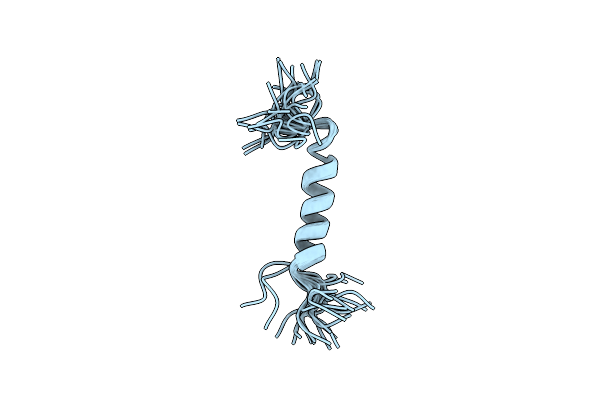2MLP image