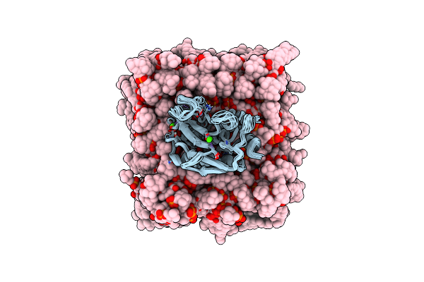2MLR image