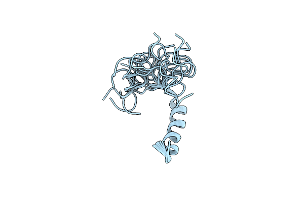 2MLV image