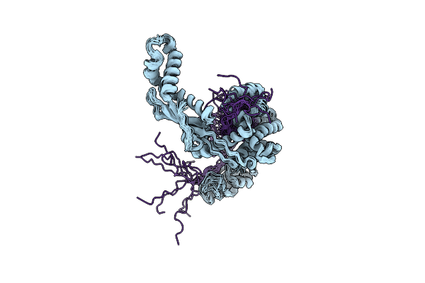 2MLX image