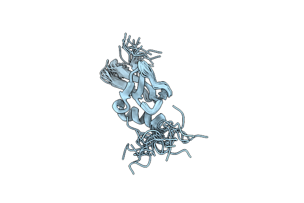 2MMP image