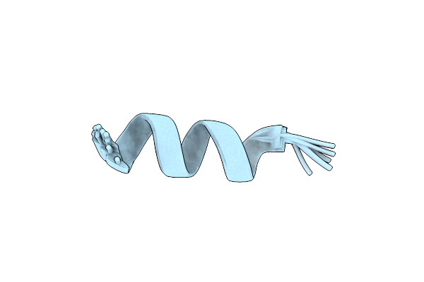 2MP9 image