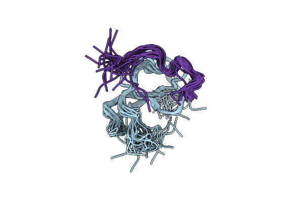 2MPM image