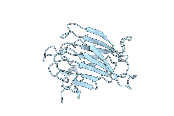 2MPO image