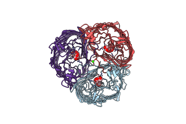 2MPR image
