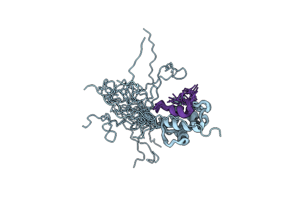 2MPS image