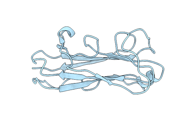 2MPV image