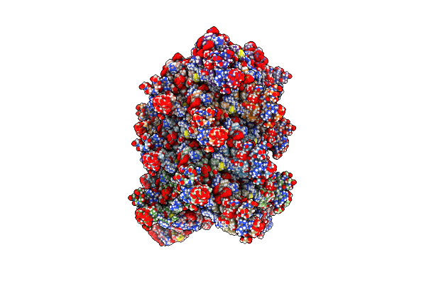 2MS7 image