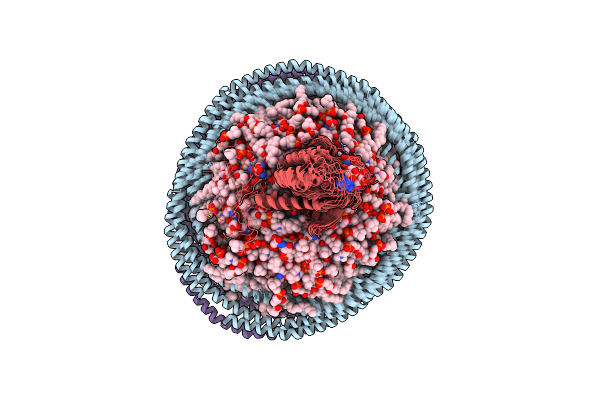 2MSD image