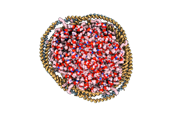 2MSE image