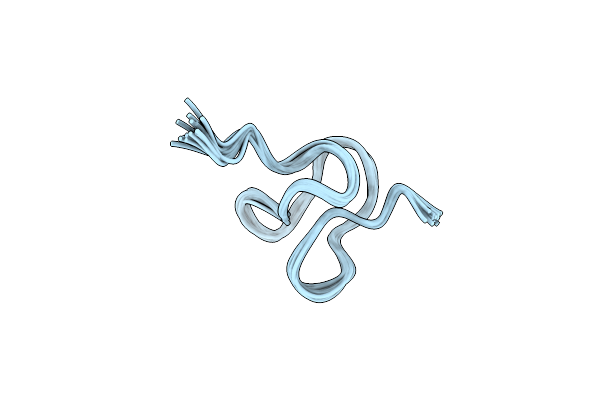 2MSF image