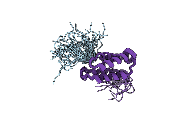 2MSR image