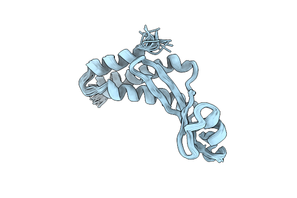 2MT4 image