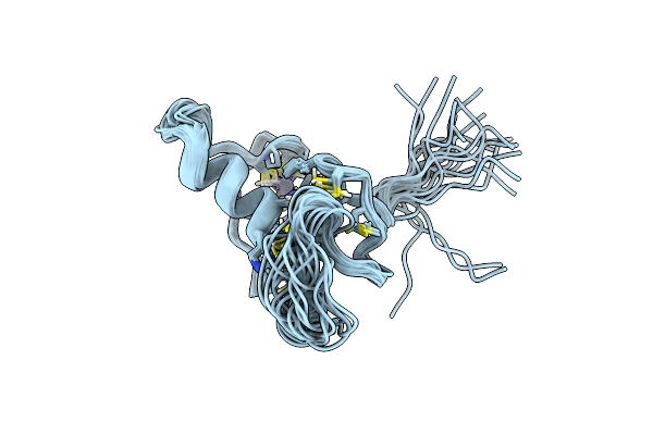 2MT5 image