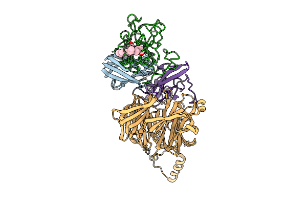 2MTA image