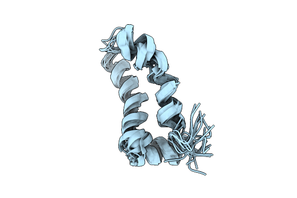 2MTS image