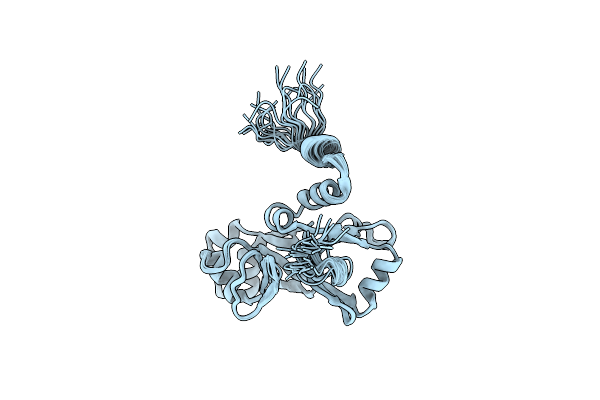 2MUI image