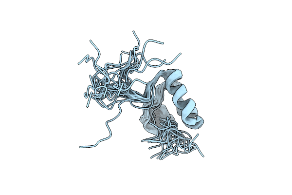 2MUL image