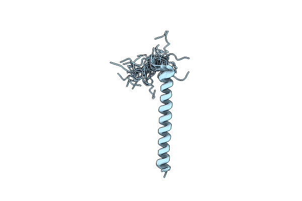 2MV6 image