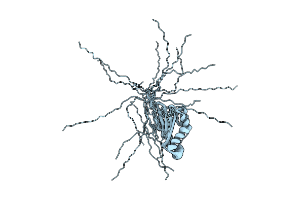 2MVB image