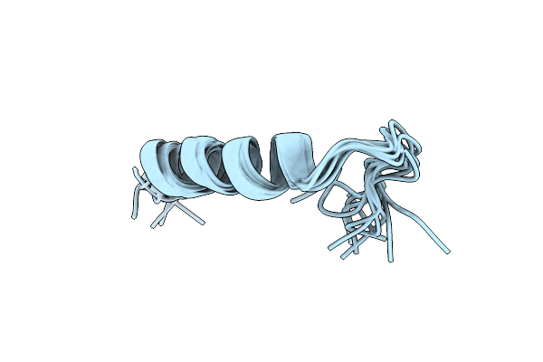 2MVH image