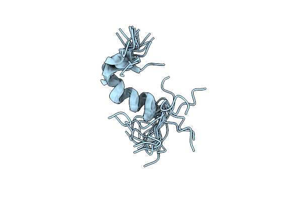 2MVL image