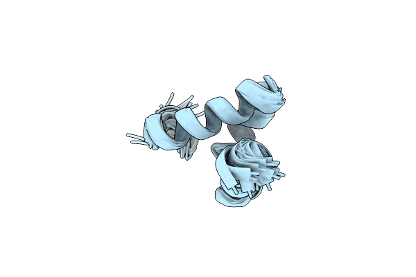 2MVT image