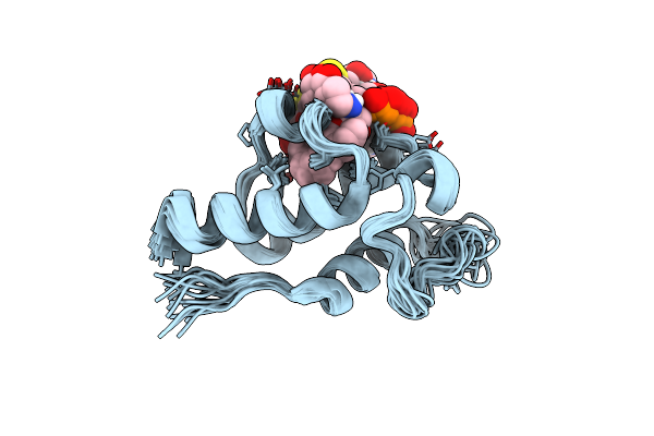 2MVV image