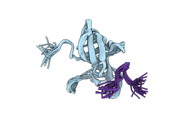 2MWP image